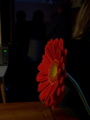 15:31:39, file ./100_2569.jpg