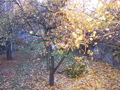 17:08:20, file ./100_2080.jpg