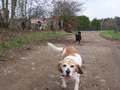 12:23:28, file ./100_4874.jpg